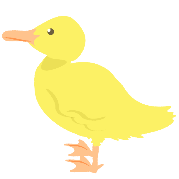 アヒルの子のイラスト　Ilustração da filhote do pato